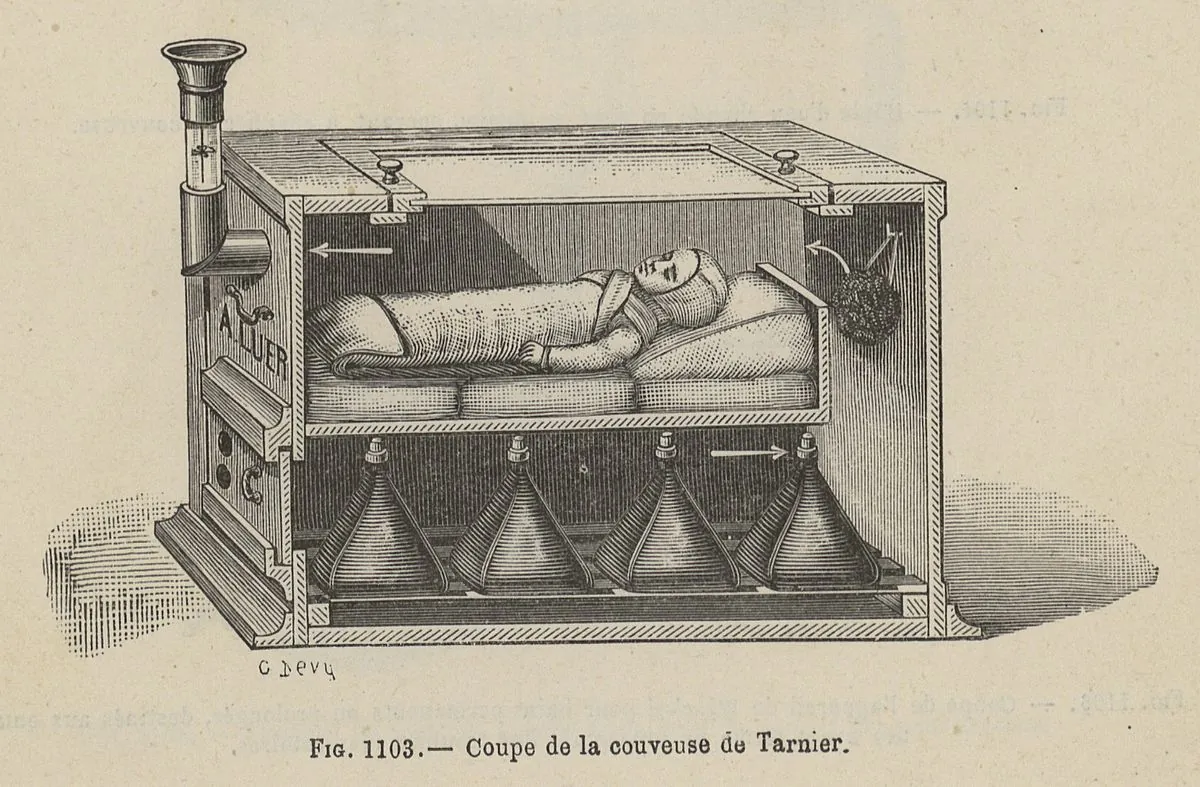 Gravure en coupe d'une couveuse de Tarnier : un nouveau-né emmailloté au-dessus de réservoirs d'eau chaude