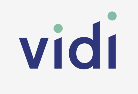 Logo VIDI