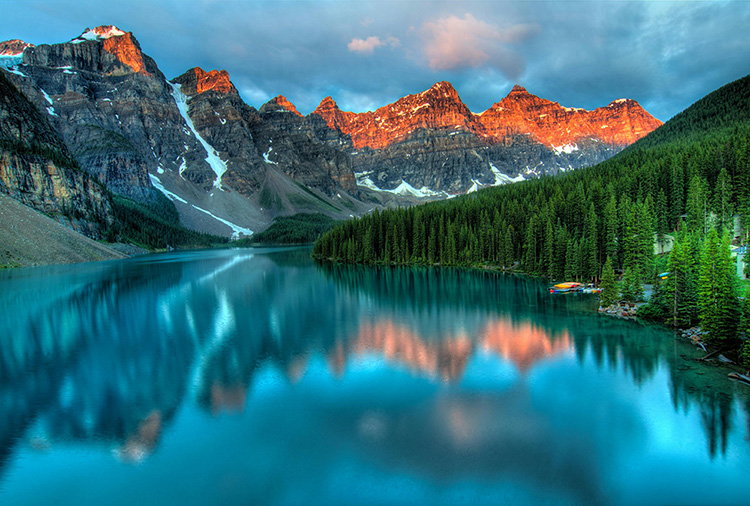 canada milvue