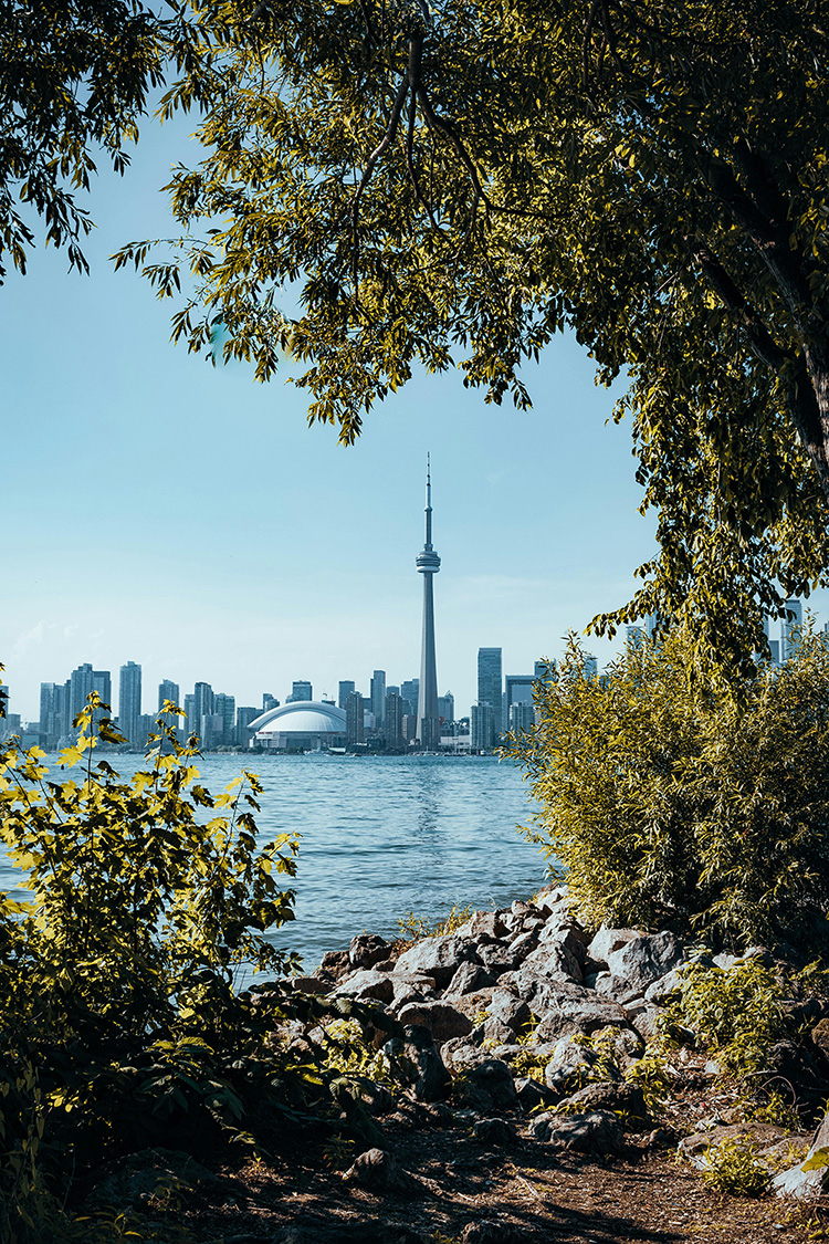 toronto canada milvue